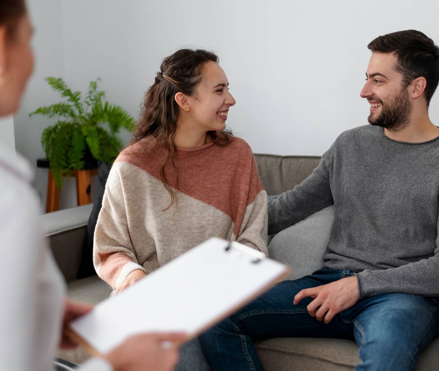 butterfly on a flower